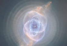 巨大的尘埃云可以携带来自垂死恒星的气体使新恒星受精