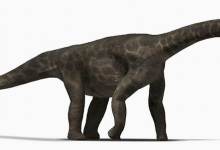 巨型蜥脚类恐龙可能具有类似龟的喙