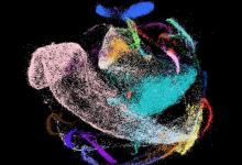 NIH大力支持绘制人体单个细胞的图谱