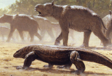 巨型爬行动物曾经统治过澳大利亚他们的损失引发了生态灾难