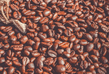 面对气候变化人工智能可以保持咖啡价格