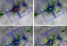 天文学家研究了IRAS 09002-473团簇发现了数百颗可能的恒星