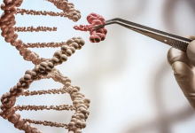 这个DNA工具可以纠正89％的遗传效应