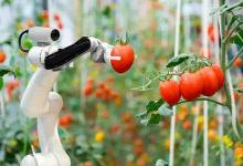 报告呼吁对农业领域的人工智能采取更多行动