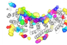 AI揭示了RNA蛋白质相互作用的本质