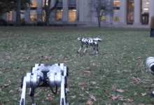 迷你猎豹机器人可能是埃隆·马斯克最糟糕的人工智能梦