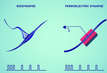 物理学家创造了一种模仿人类突触来忘记记忆的装置