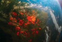 研究人员称亚马逊大火加速了安第斯冰川的融化