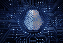 为什么计算神经科学和AI会融合