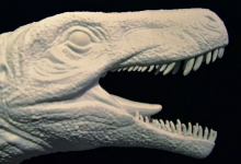 三叠纪发现的恐龙化石新种