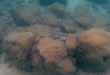 7000年前建造的石障的发现讲述了海平面上升的荒诞故事