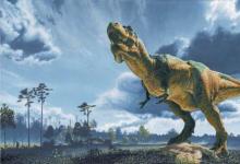 研究人员声称侏儒灵活物种的化石只是十几岁的霸王龙