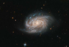 哈勃望远镜从著名目录中观看星系