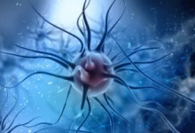 科学家在巴西发现一种未知基因的独特病毒