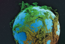 从活着的水泥到提供药物的生物膜 生物学家重塑了物质世界