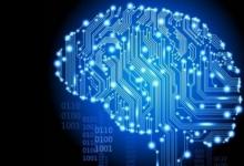 神经科学打开了人工智能的黑匣子