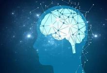 大脑扫描揭示了一种新的精神分裂症类型