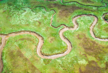 科学顾问抨击EPA的新溪流和湿地保护规则