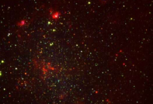 天文学家确定了附近恒星系中近3000个候选恒星