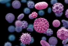最新研究表明新冠状病毒的平均孵化时间为5.1天