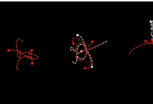 科学家发现时间对称性和物理定律