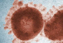 研究表明COVID-19病毒可能已经在人类中生存了多年