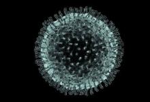 冠状病毒穗状蛋白的新研究可能有助于解释其广泛传播