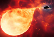 科学家在柱状星系郊区发现中质黑洞
