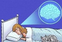 睡眠与神经发育障碍的语言技能有关