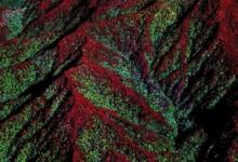 航空科学发现婆罗洲森林的复杂地貌控制