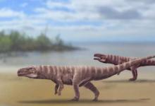 古代鳄鱼像恐龙一样在两条腿上行走