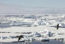 人工智能可以彻底改变海冰警告