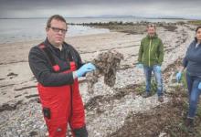 湿巾和卫生用品在爱尔兰水域被发现是微塑性污染物