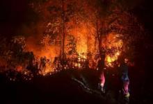 印尼宣布对森林火灾的紧急状态