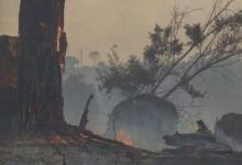 巴西亚马逊发生13年来最严重的6月森林大火