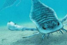 巨型海蝎是史前澳大利亚的水下巨人
