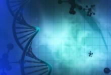 DNA存储信息的能力得到提升