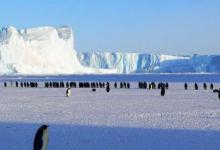 南极洲首次发现主动泄漏的海底甲烷