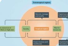 气候变化对热带渔业的影响将在世界范围内产生连锁反应