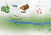 农业取代了化石燃料 成为人类最大的环境硫源