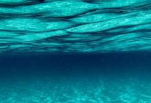 新研究与海洋中恒定元素条件的假设相矛盾