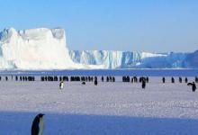 专家计算格陵兰岛和南极洲未来的冰川损失和海平面贡献