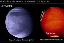 派克太阳探测器和与地球相连的观察者罕见地瞥见了金星