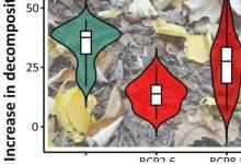 研究发现 生物多样性和植物分解应纳入气候模型