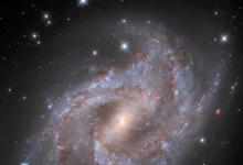 哈勃在NGC 2525中观测到壮观的超新星