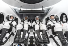 SpaceX现在将于11月14日进行下一次宇航员发射