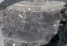 对火星陨石的分析揭示了44亿年前水的证据