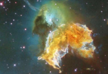 年轮可能是遥远的超新星对地球影响的线索
