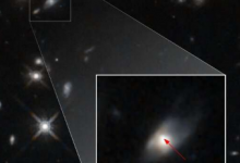 中子星合并产生的磁星具有迄今观测到的最明亮的新星