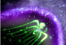 银河系最亮的伽玛射线双星系统可能由磁星提供动力
